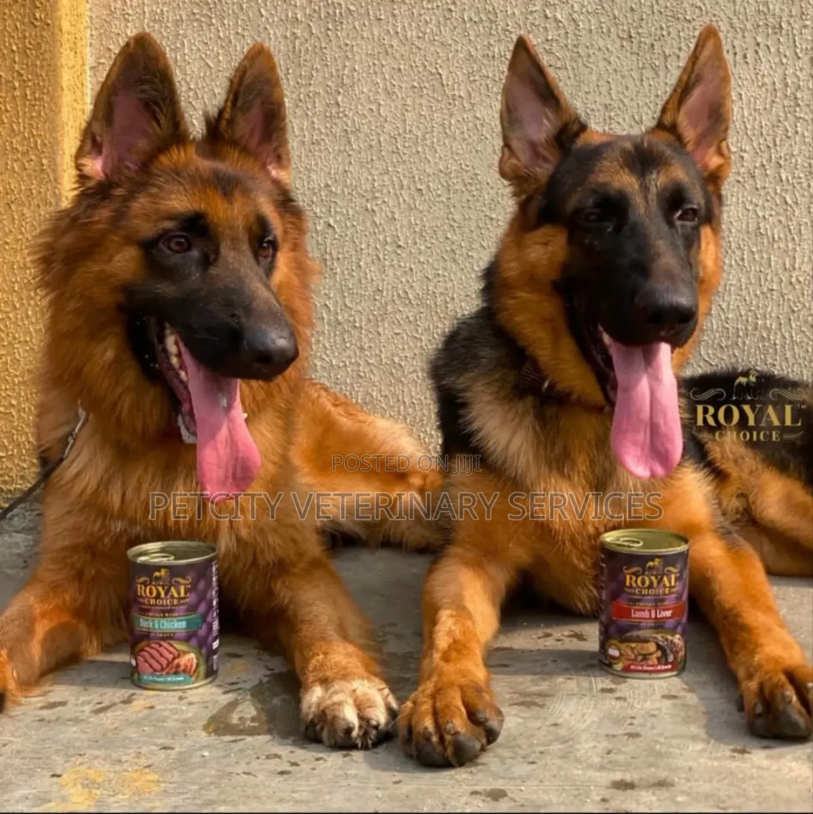 Royal Choice Products