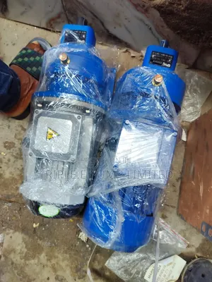 Gear Motor