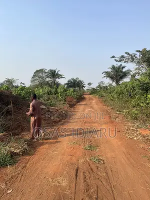 Cheap and Affordable C of O Land