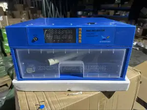 64 Egg Incubator