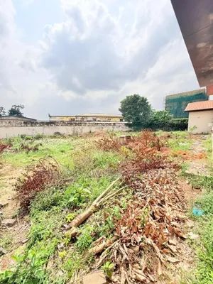 Buy Build Half Ploy 30 by 120 Coner Piece Off Addo Ajah Lekki
