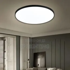 Ceiling Flush Light