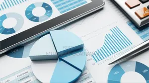 Expert in Microsoft Office(Word, Excel, Powerpoint)