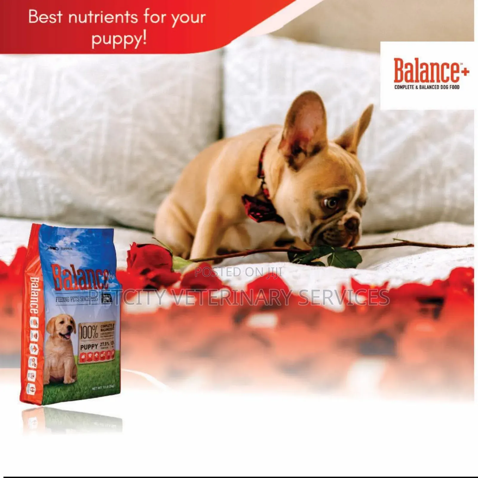 Balance Products