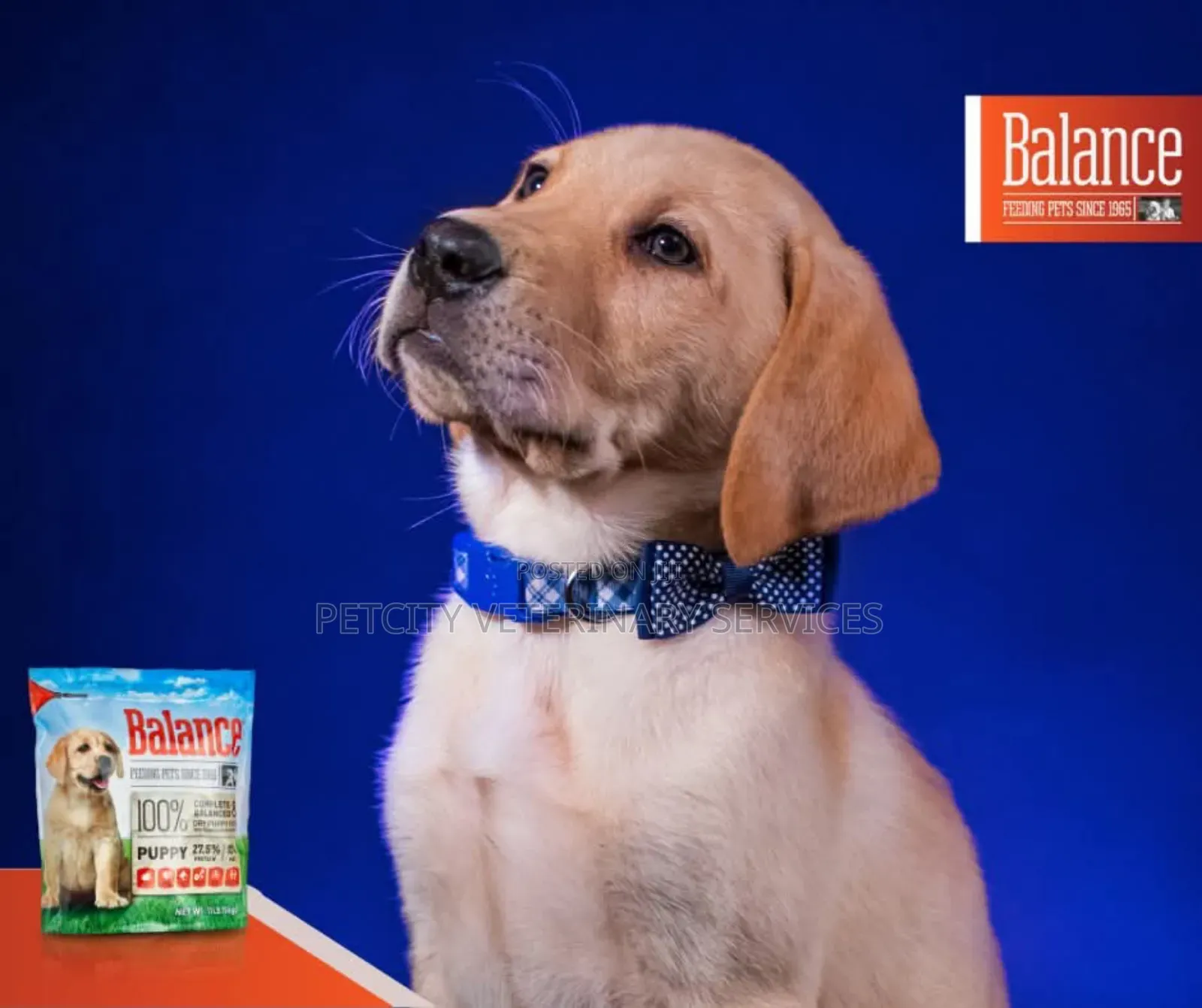 Balance Products