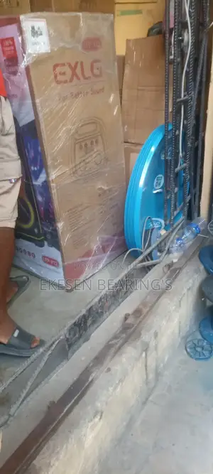 Exlg LFP-12 Portable Party Speaker