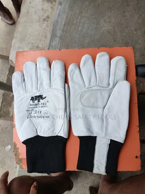 Cold Room Glove