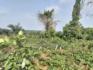 Sales, 60 Plots of Land, at Back of Adron Homes, Emuren Rd. Off Imota
