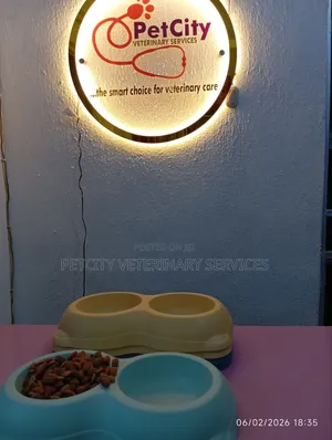 Plastic Double Pet Bowls – Perfect for Cats Dogs