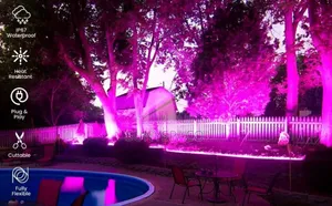 Neon Strip Light 8*16mm