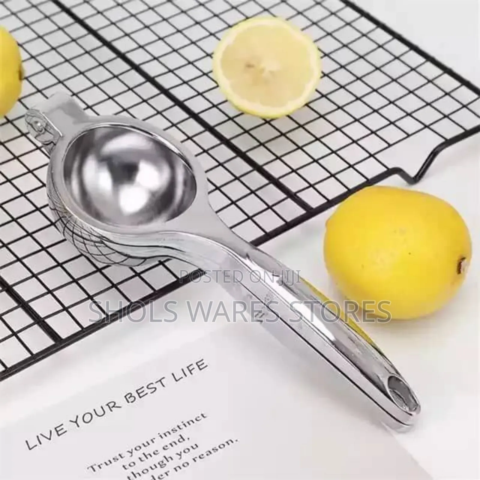Manual Fruit Press Extractor