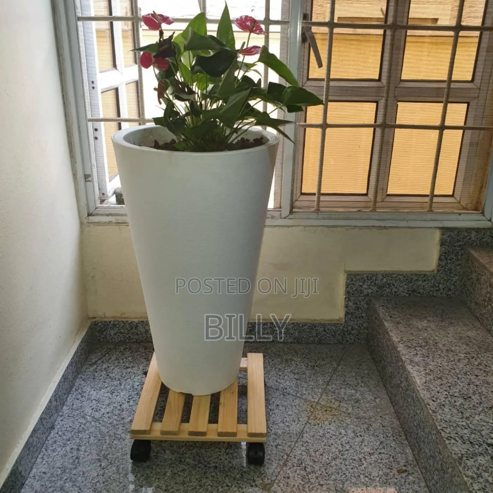 Plant Roller
