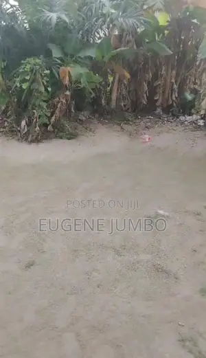 2 Plots of Dry Land at Eliozu in a Gated Estate