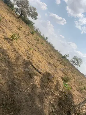 Uprroted Land for Sale in Ogun Town Very Close to Main Road