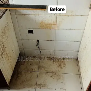 Before After Cleaning Services