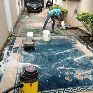 Rug/Carpet Cleaning