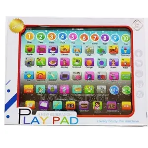 Play Pad Learning Toy