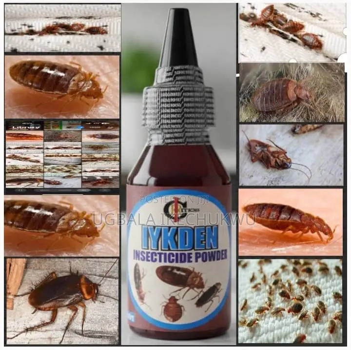 Bedbug Killer (Iykden Magic Powder)