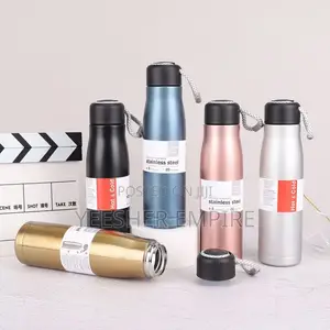 550ml Vacuum Flask