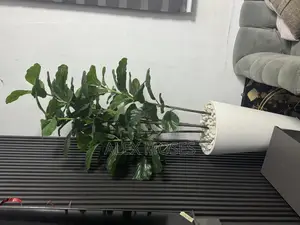 Luxury / Stylish Artificial Interior Flower and Pot.