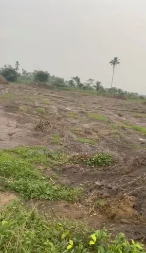 5 and Half Plots of Land Airport Road