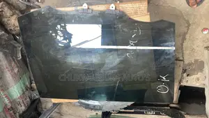 Back Door Glass Hilander 2020
