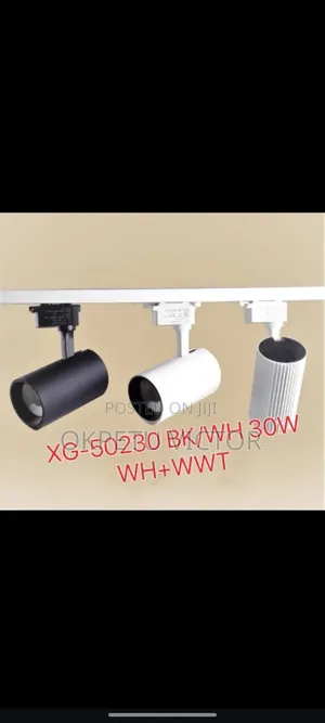 40w Track Light (White+ Warm White)