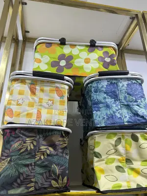 Insulated Picnic Baskets / Cooler Bags