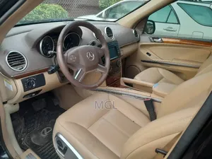Mercedes-Benz GL-Class GL 450 2009 Black