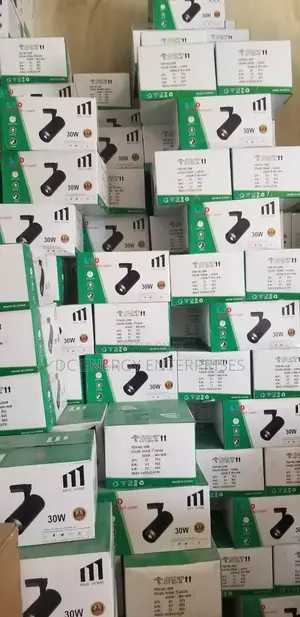 30w Track Light