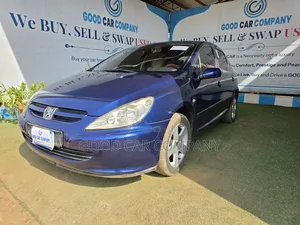 Peugeot 307 2008 Blue