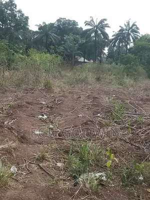 Land at Independence Layout Phase 2