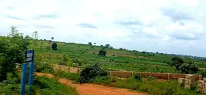 Secure Land Now — Entry Still Soft