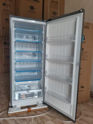 Lg Upright Freezer Silver 304