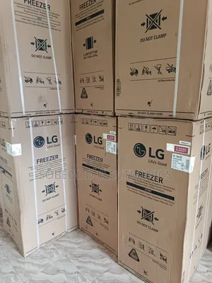 Lg Upright Freezer Silver 304