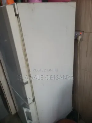 Standing Liebherr Fridge