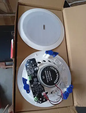 Lax Ceiling Speaker Available. Best Importer and Distributor in Lagos