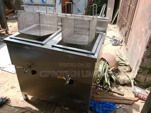 Fryer for Kitchen
