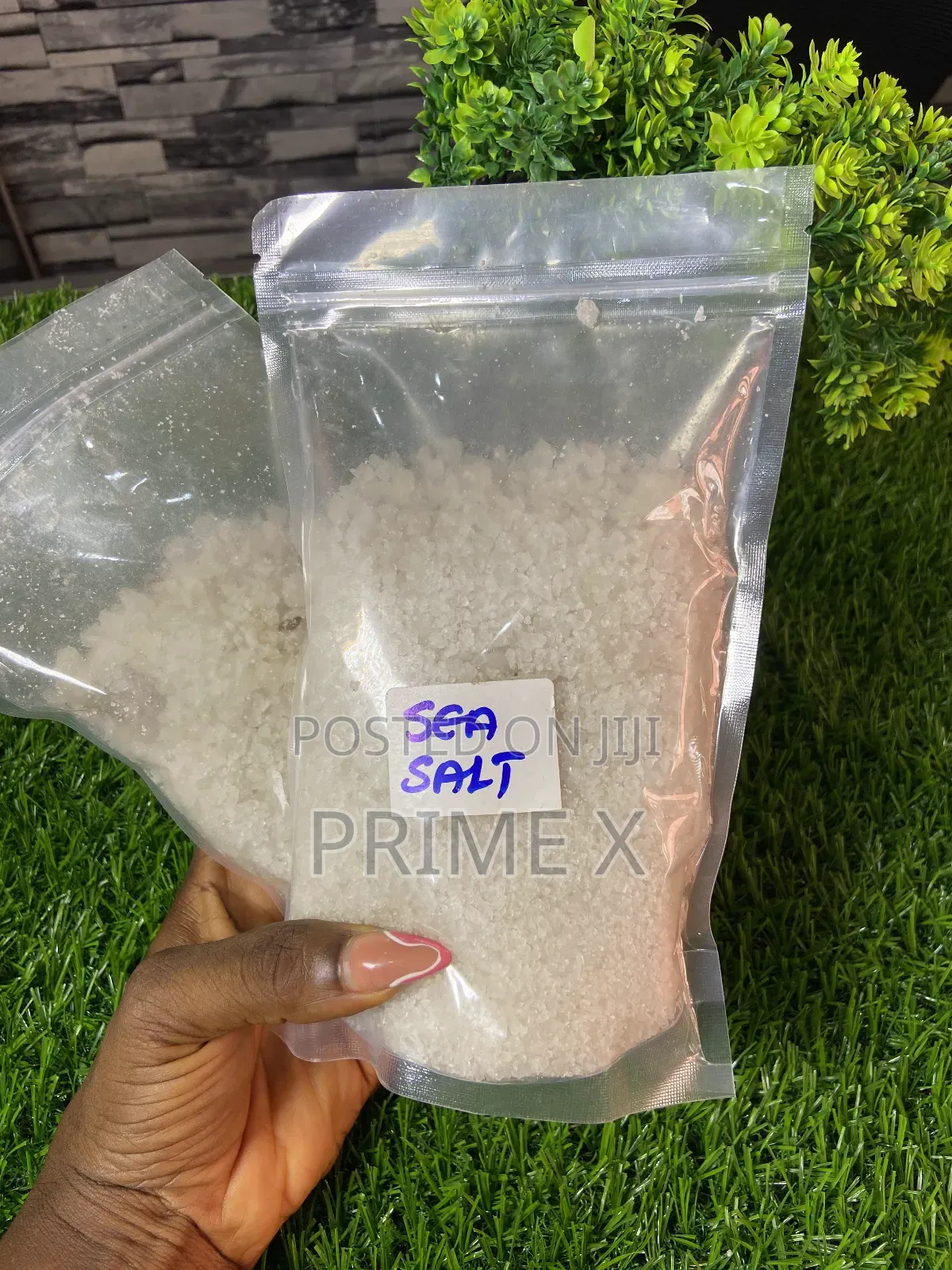 Prime Xsupplement (Ancient Seeds)