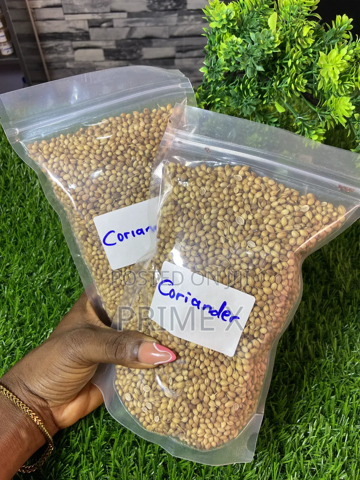 Prime Xsupplement (Ancient Seeds)