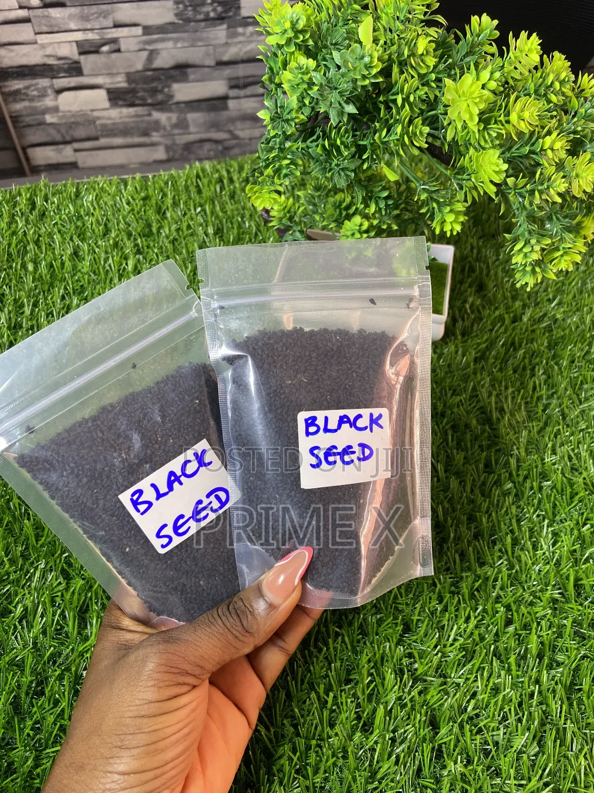 Prime Xsupplement (Ancient Seeds)