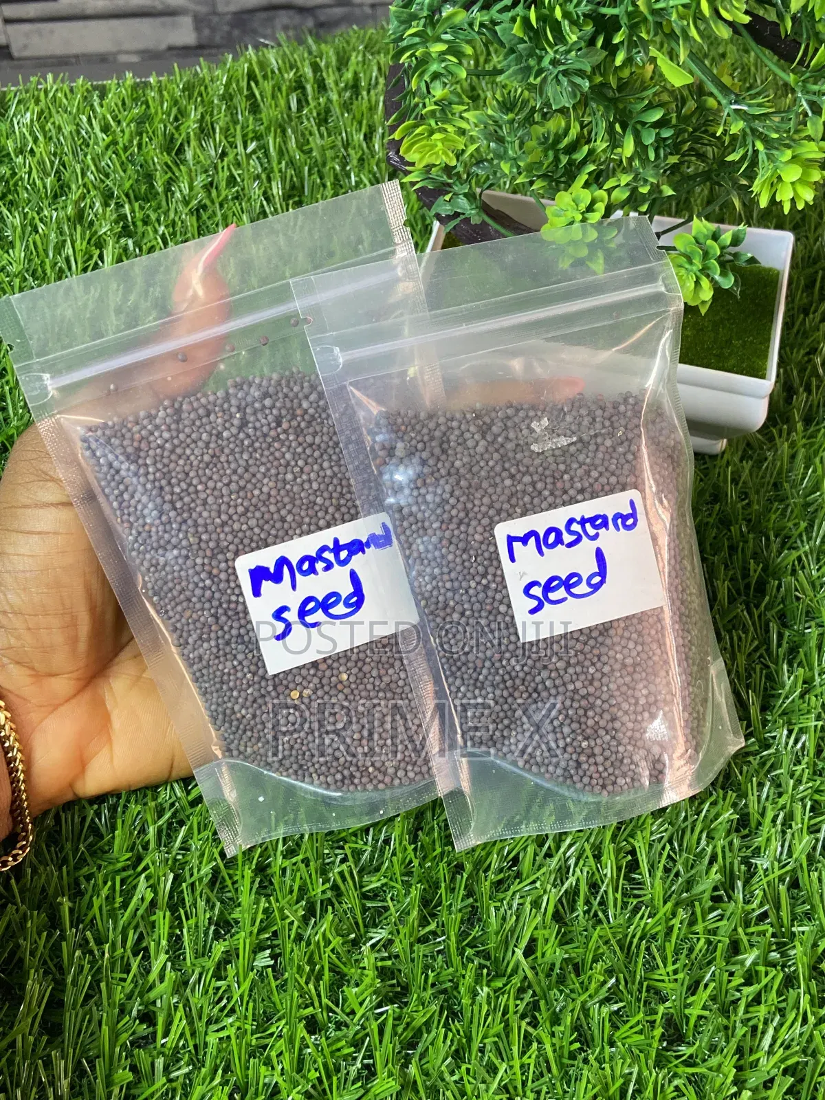 Prime Xsupplement (Ancient Seeds)