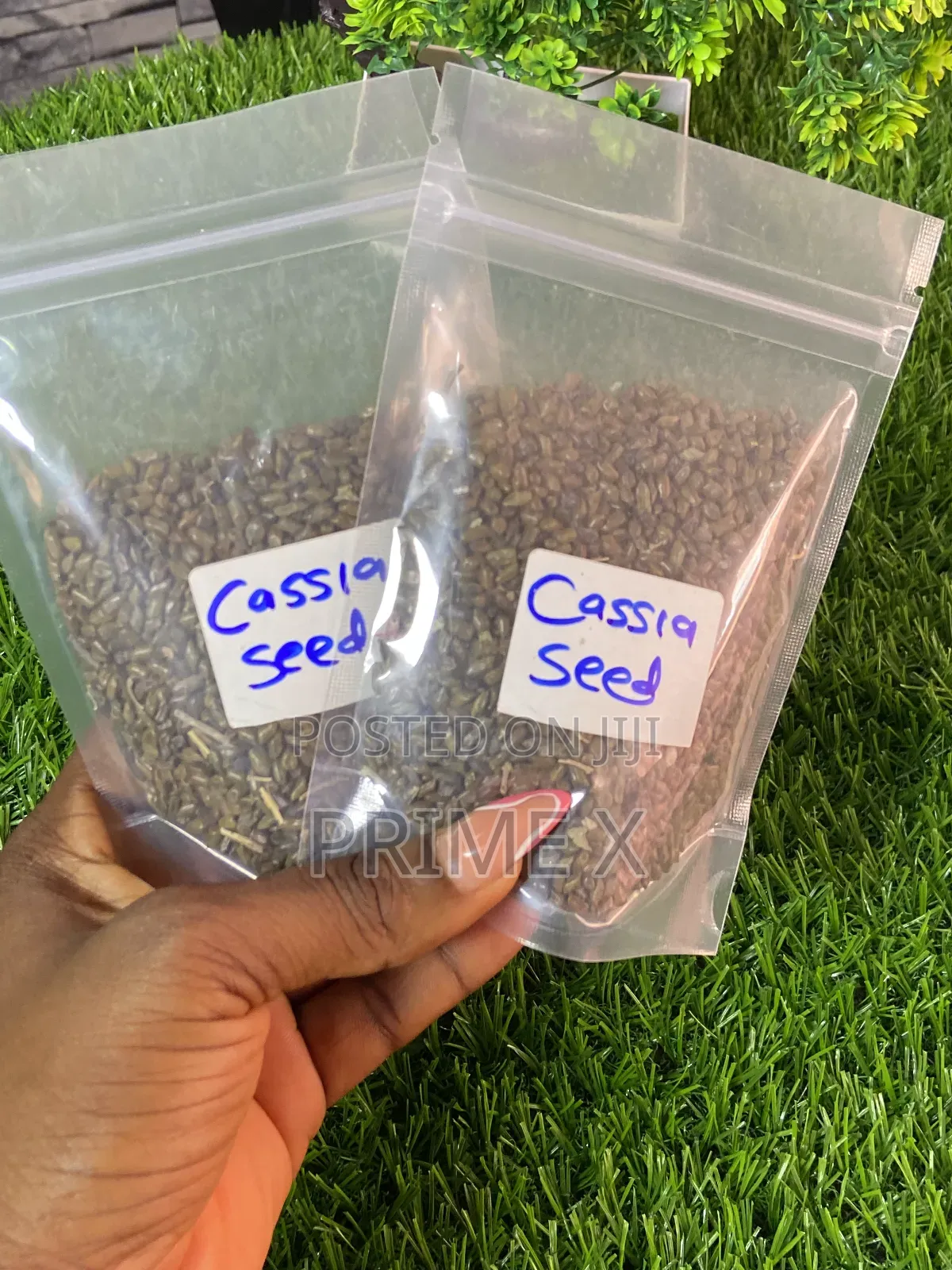 Prime Xsupplement (Ancient Seeds)