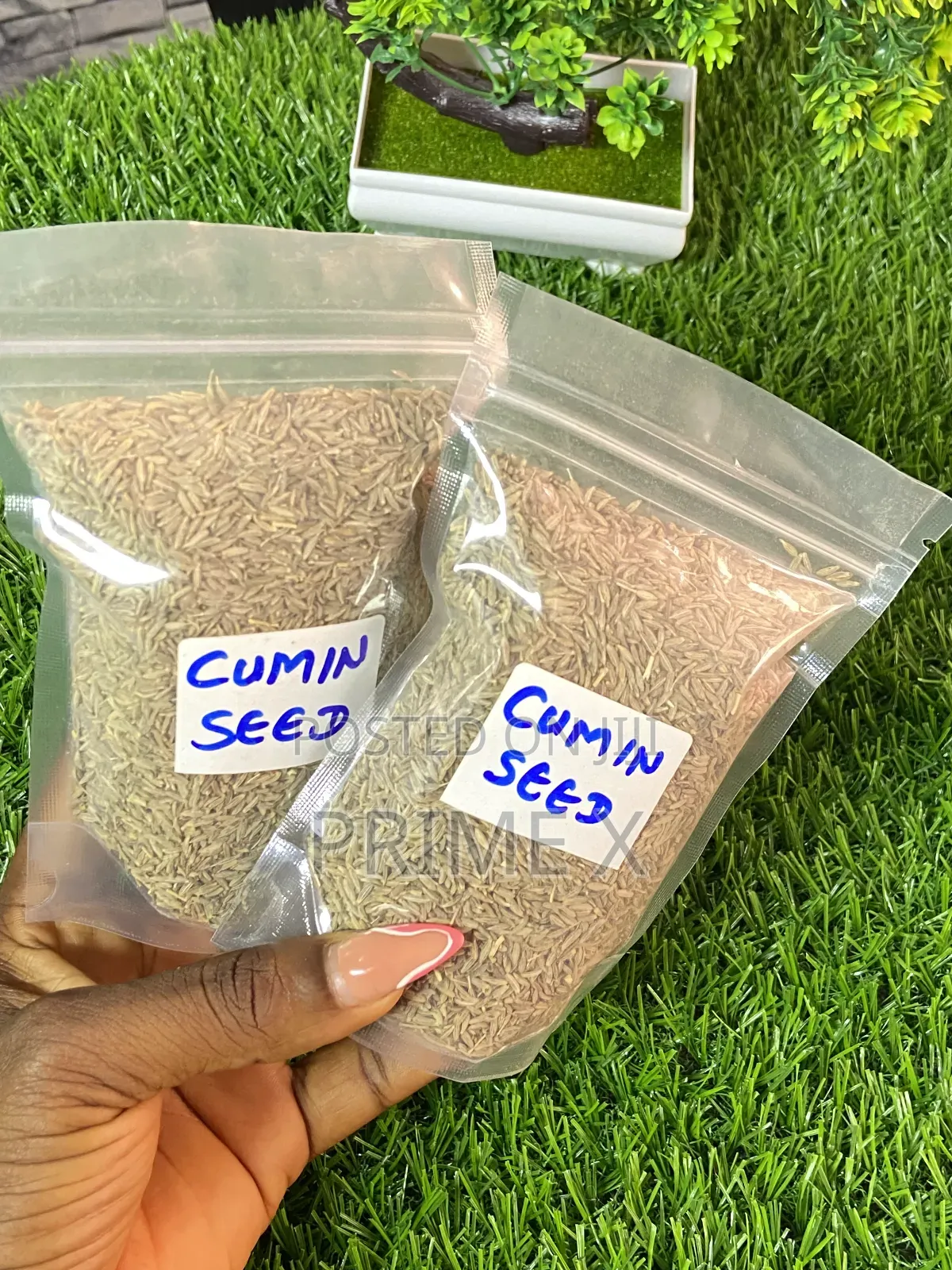 Prime Xsupplement (Ancient Seeds)