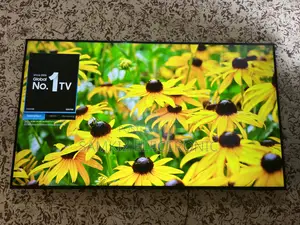 55 Inch Samsung 2024 Crystal Uhd Smart Tv