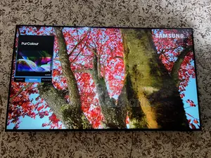 55 Inch Samsung 2024 Crystal Uhd Smart Tv