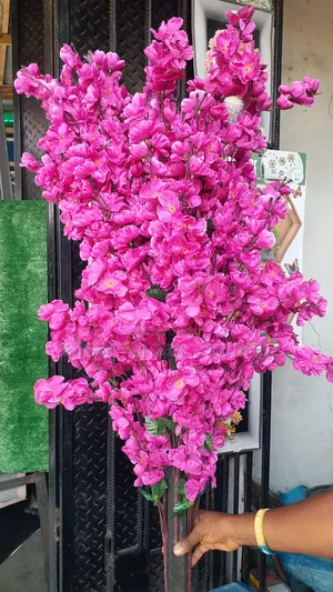 Lily Pink Flower Plant With Flaks