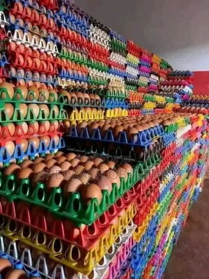 Eggs in Bulk. With Delivery.