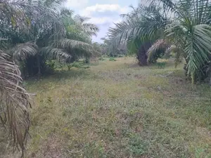 Farmland for Sale