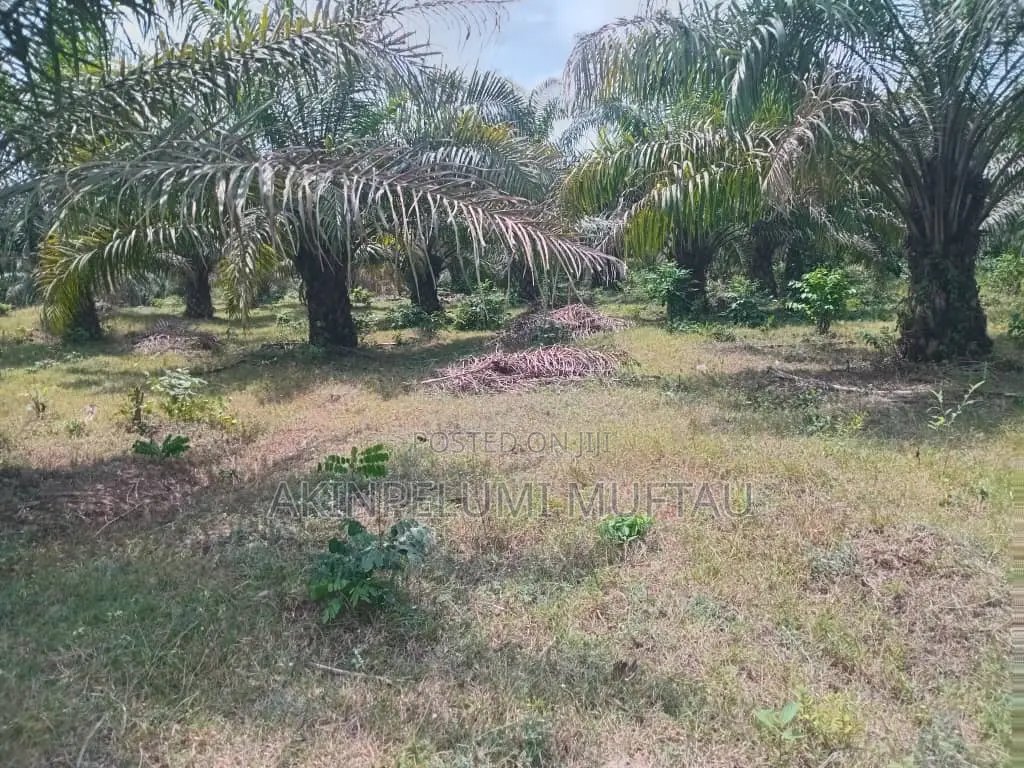 Farmland for Sale